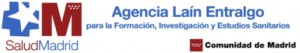Logo Agencia Laín Entralgo