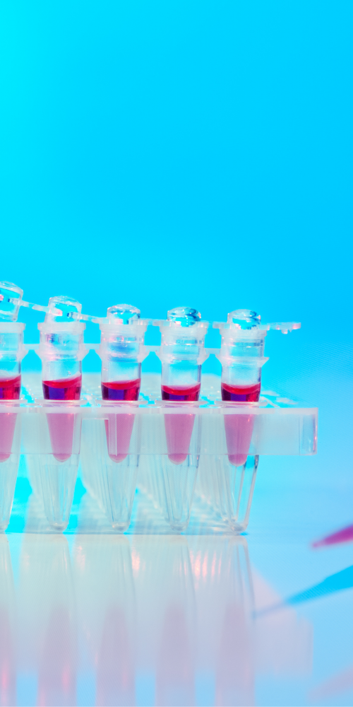 Tubos de ensayo con muestras biológicas en laboratorio, utilizados en el análisis de marcadores biomoleculares para diagnóstico en salud.